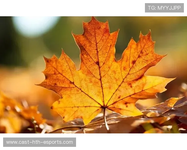 关键处理冷静果断