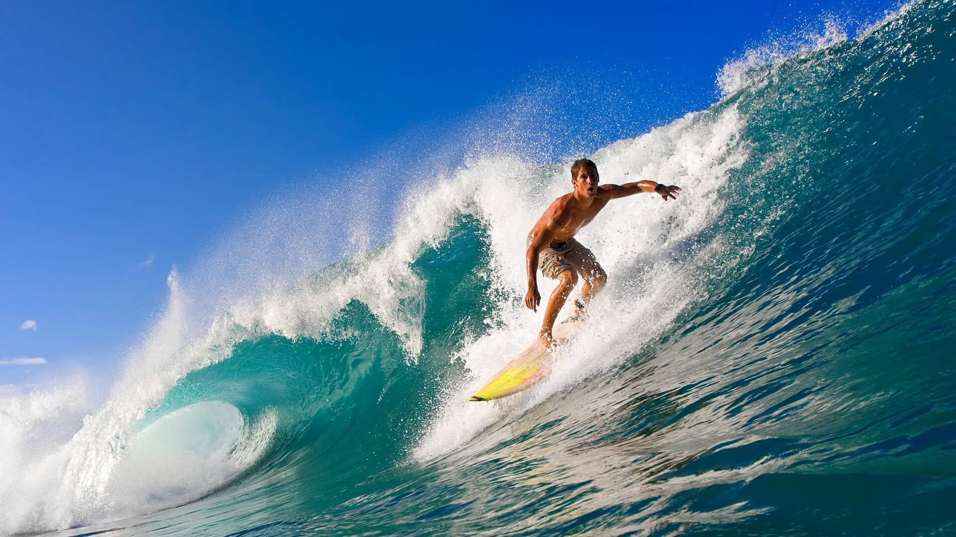 华体会真人体育娱乐-《Dota2》天命绝战，荣耀归于最强战队！